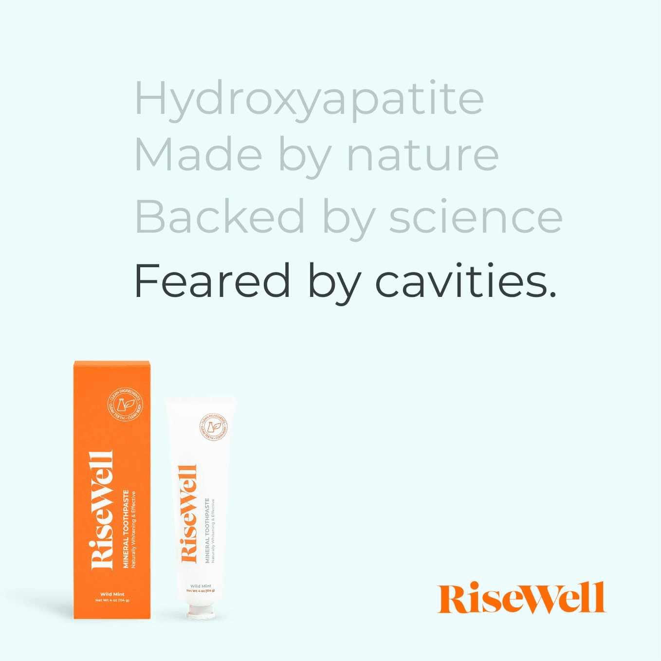 RiseWell Mineral Toothpaste - All Natural Toothpaste with Hydroxyapatite - Made in The USA view 3